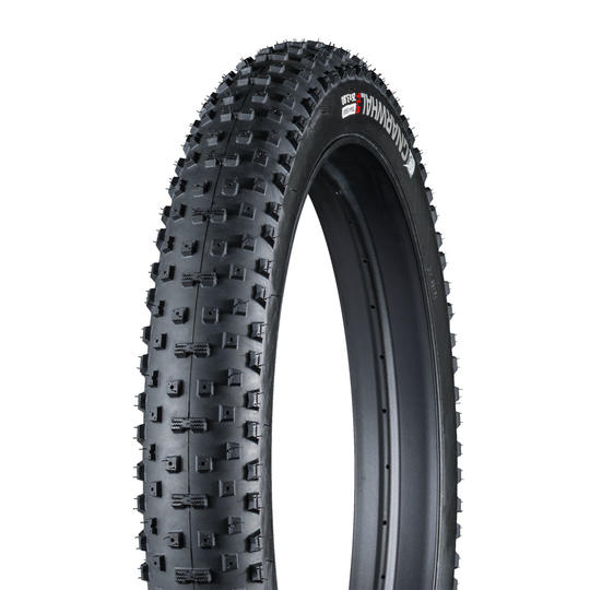 Fat tire bike online tires