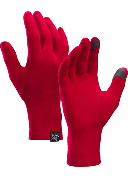 Arcteryx gothic cheap glove