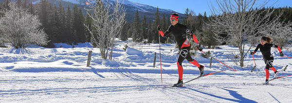 rossignol cross country ski sizing