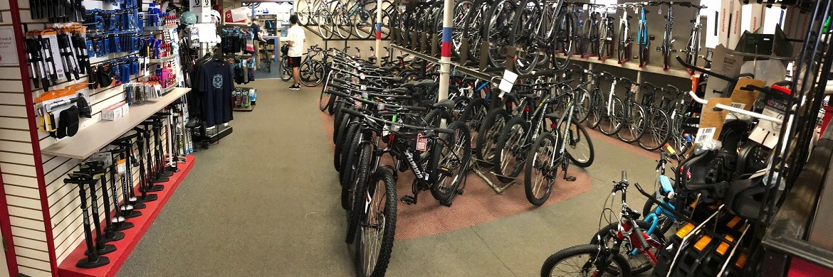 City cycle clearance stores