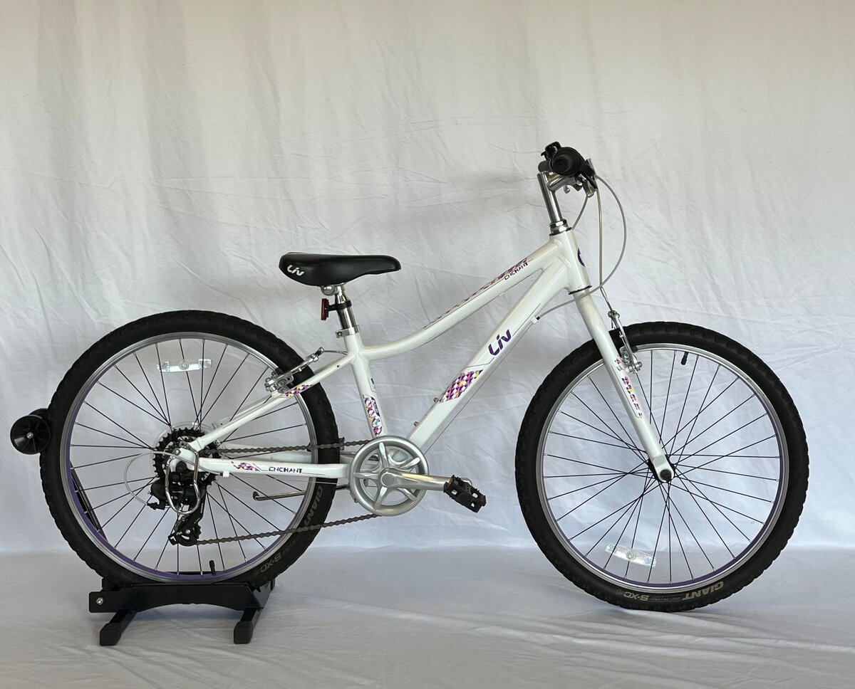 Used liv mountain deals bike