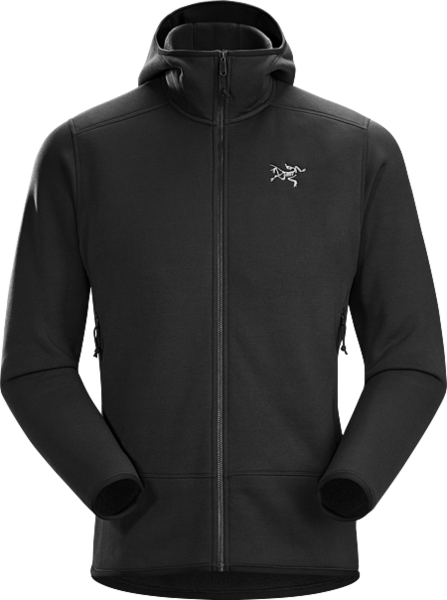 Arcteryx Kyanite Hoody - Men's - Bushtukah