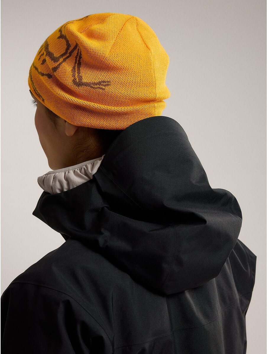 Arcteryx Bird Head Toque - Bushtukah