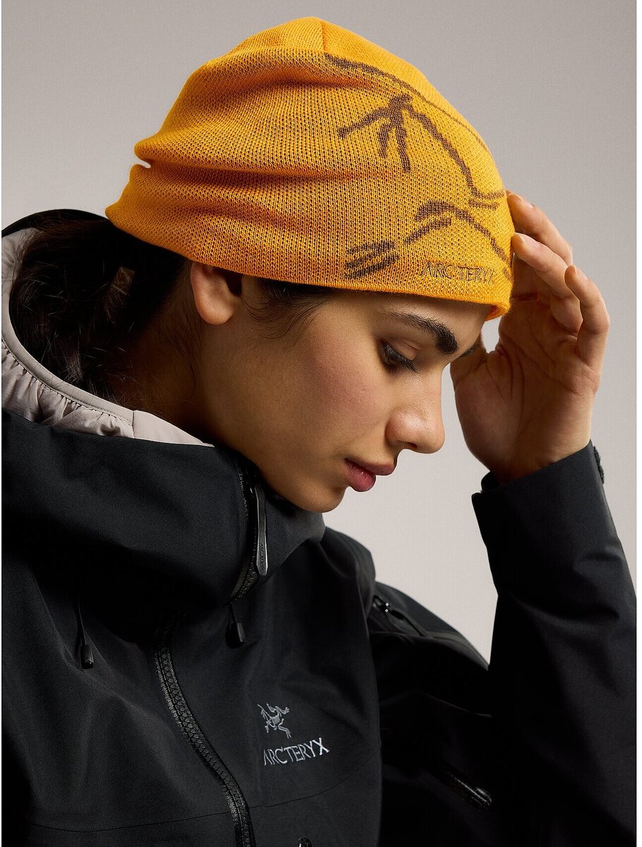 Arcteryx Bird Head Toque - Bushtukah