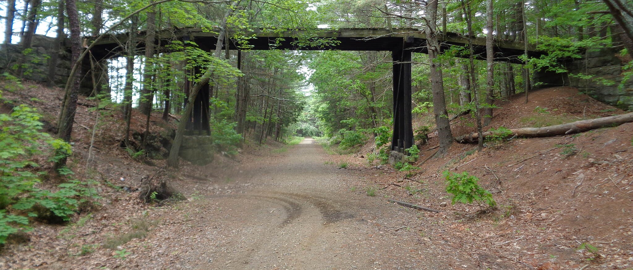 Hampton bay best sale park trail