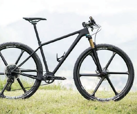 Open hardtail discount