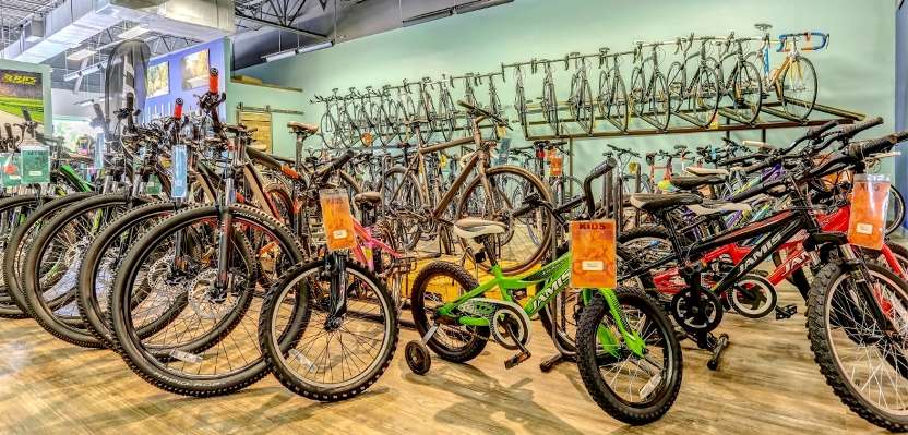 used bicycle store