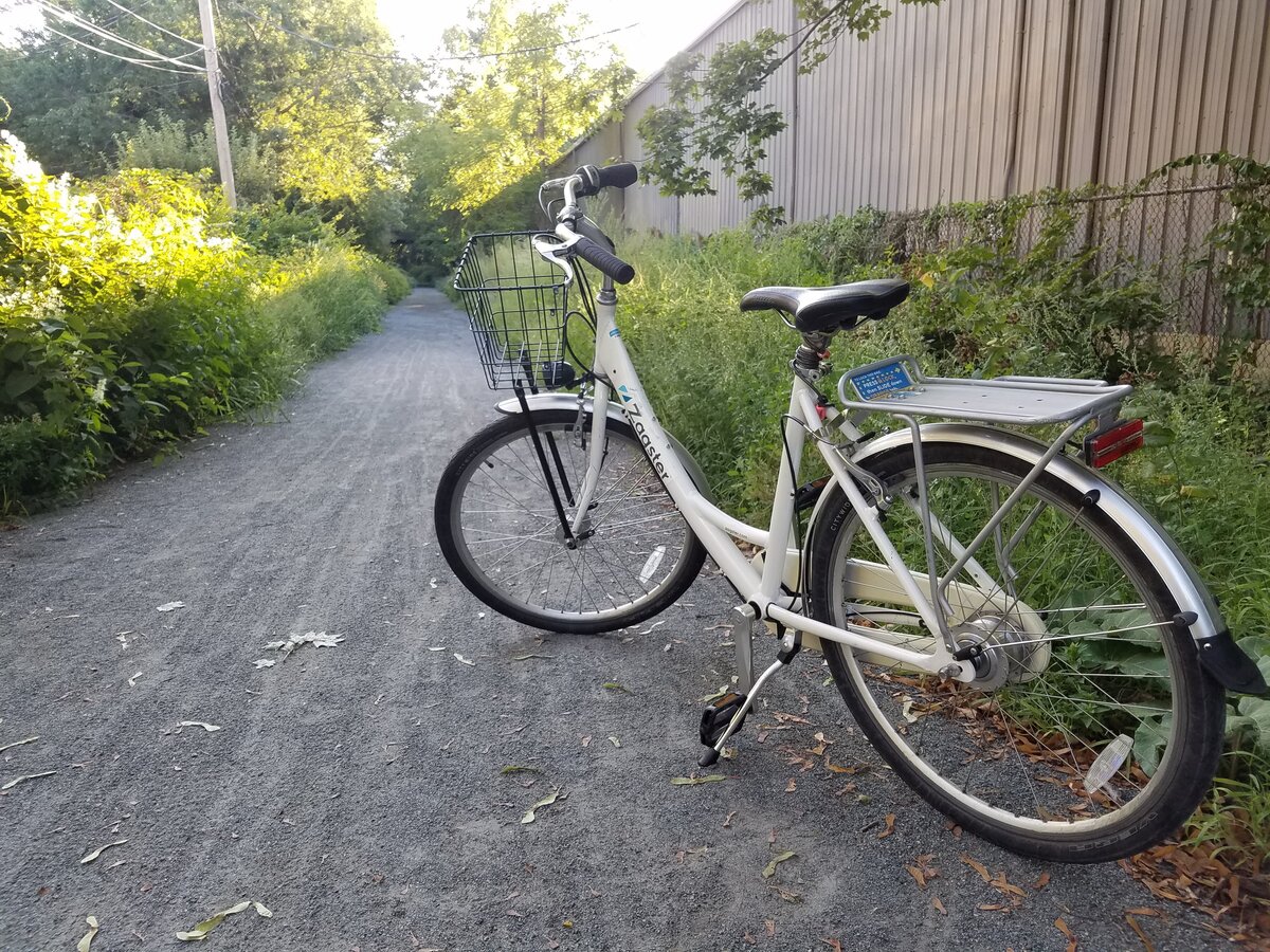 dawes accona ladies bike