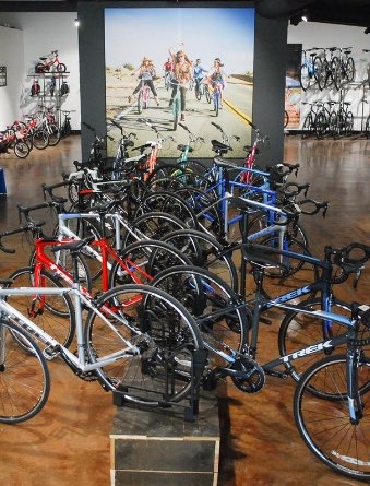 trek bicycle warehouse