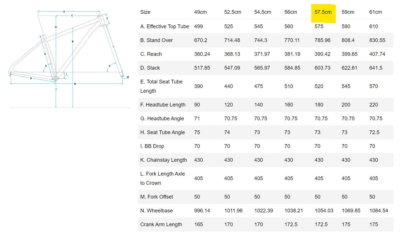 salsa warbird geometry