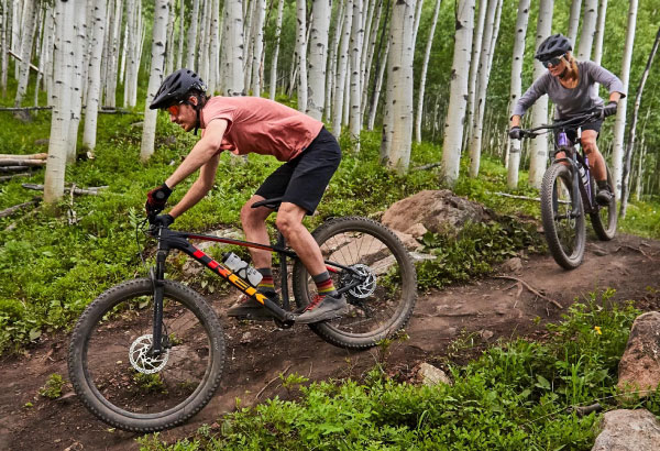 How to choose a mtb sale