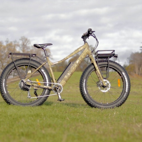 Surface 604 boar electric fat shops bike