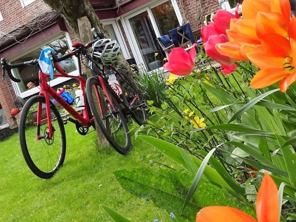 holland bike shop review