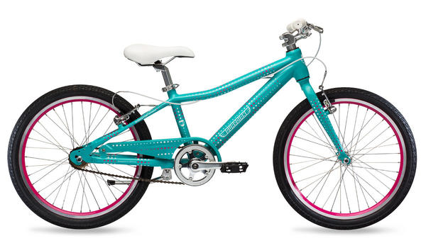 guardian 20 inch bike