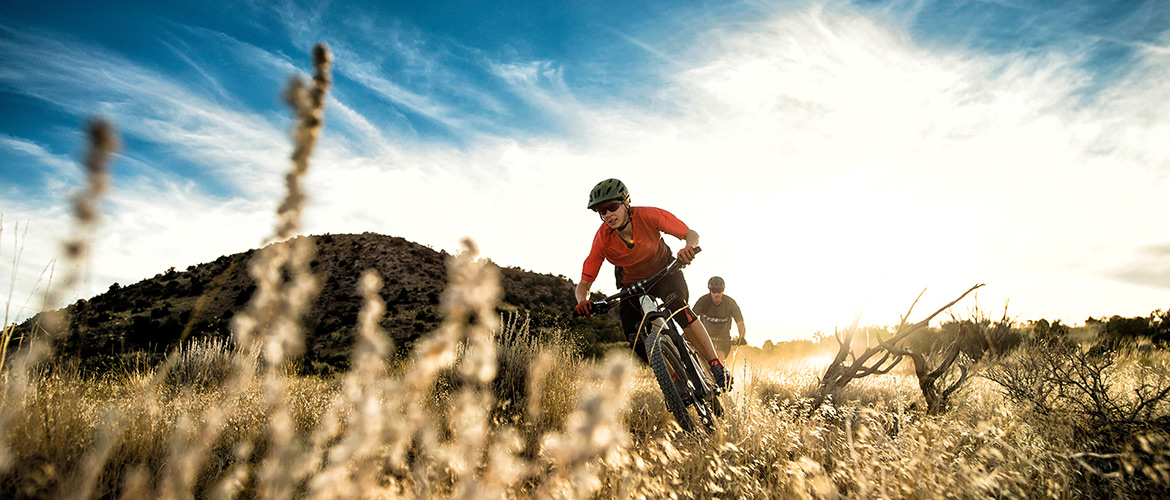 2017 mountain bike clearance