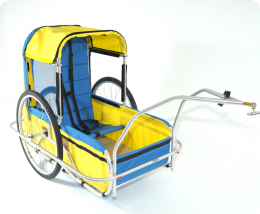 special needs bike trailer used