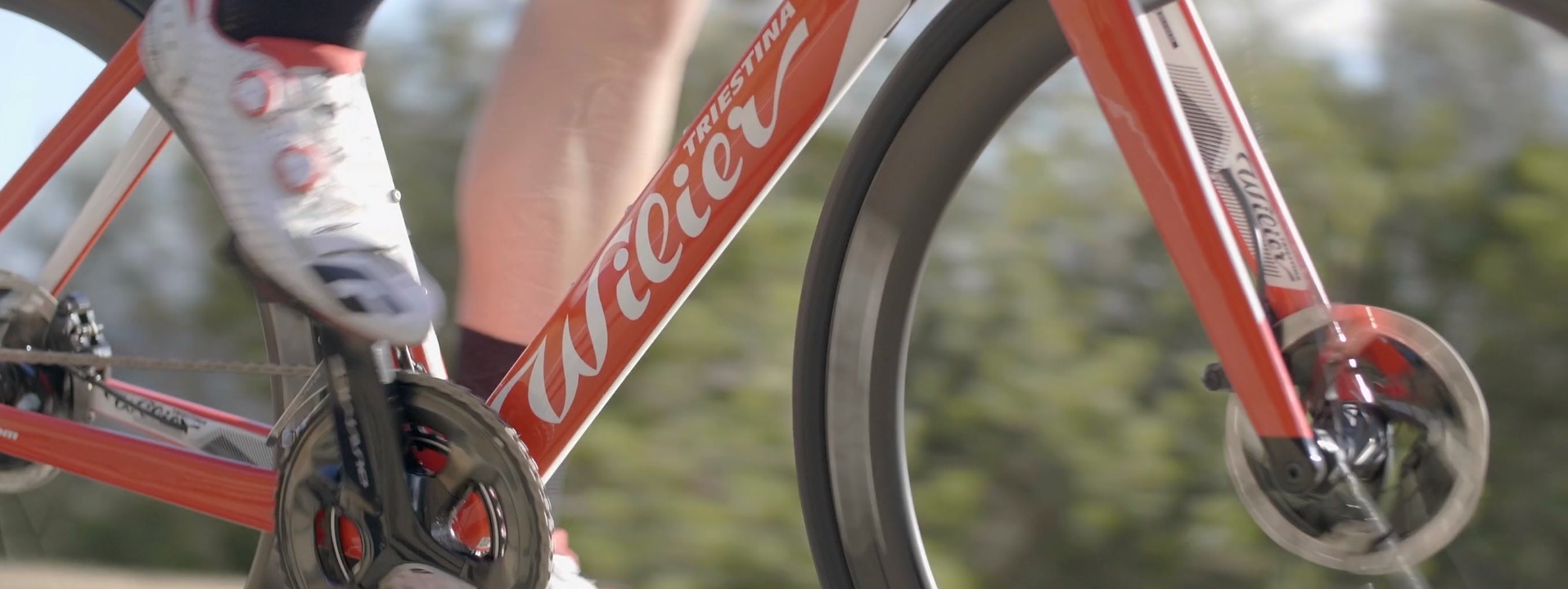 wilier bikes usa