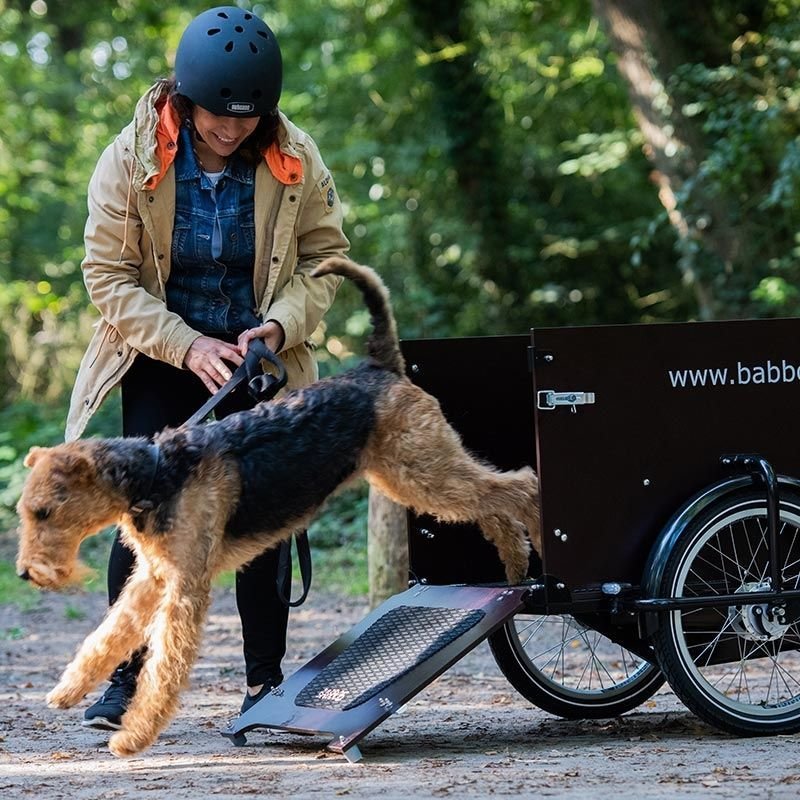 Babboe best sale dog bike