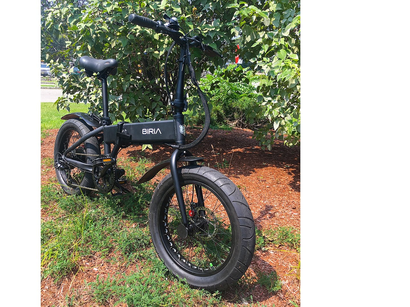 biria folding electric bike