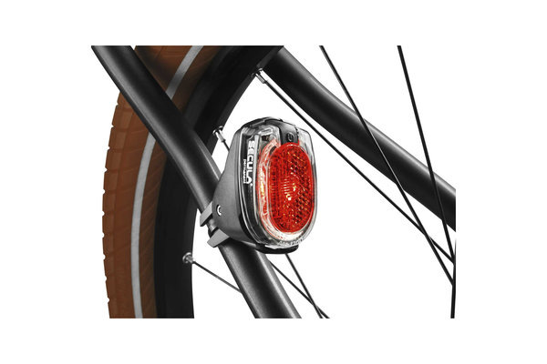 seat stay light mount