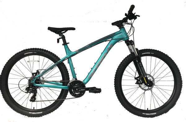 kona tanuki 2020