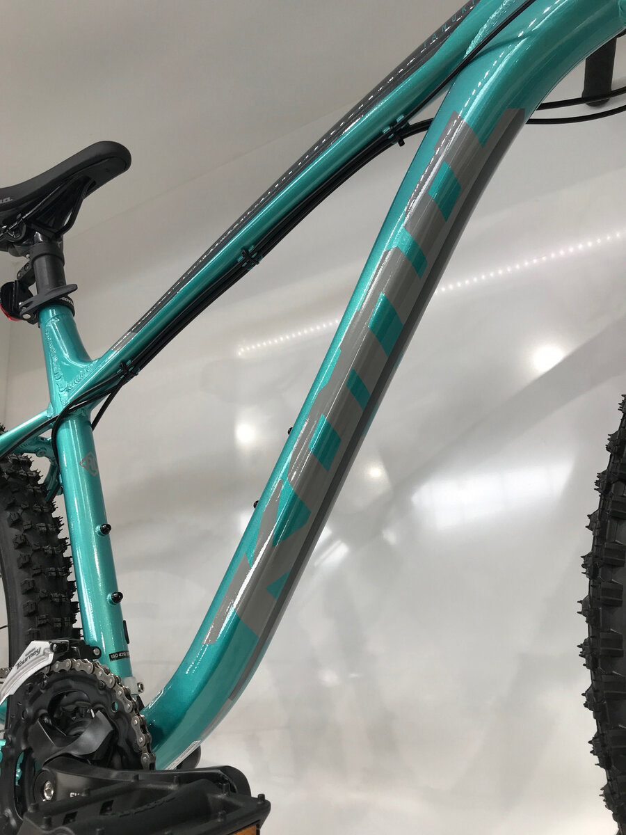 kona tanuki 2020