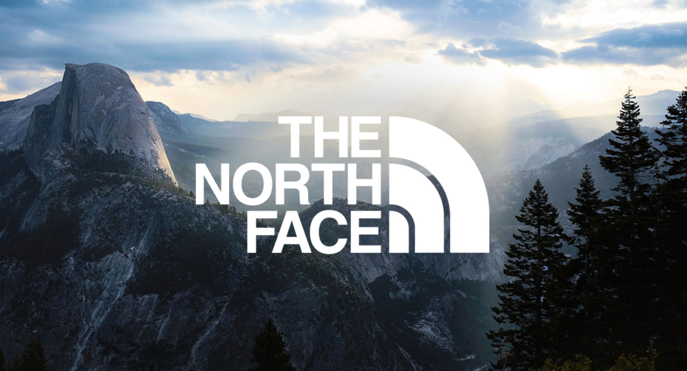 Buy top north face