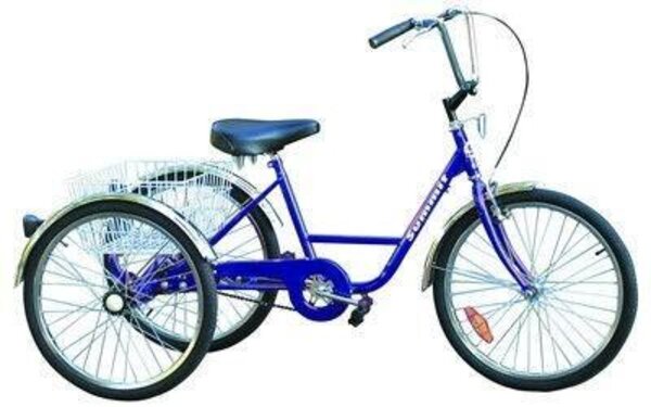 Adult tricycle sams sales club