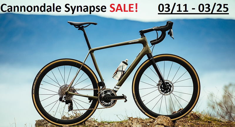 Synapse X Account For Sale
