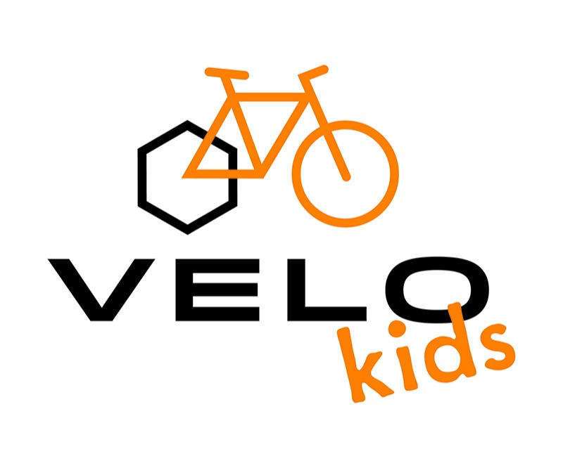velo city bike