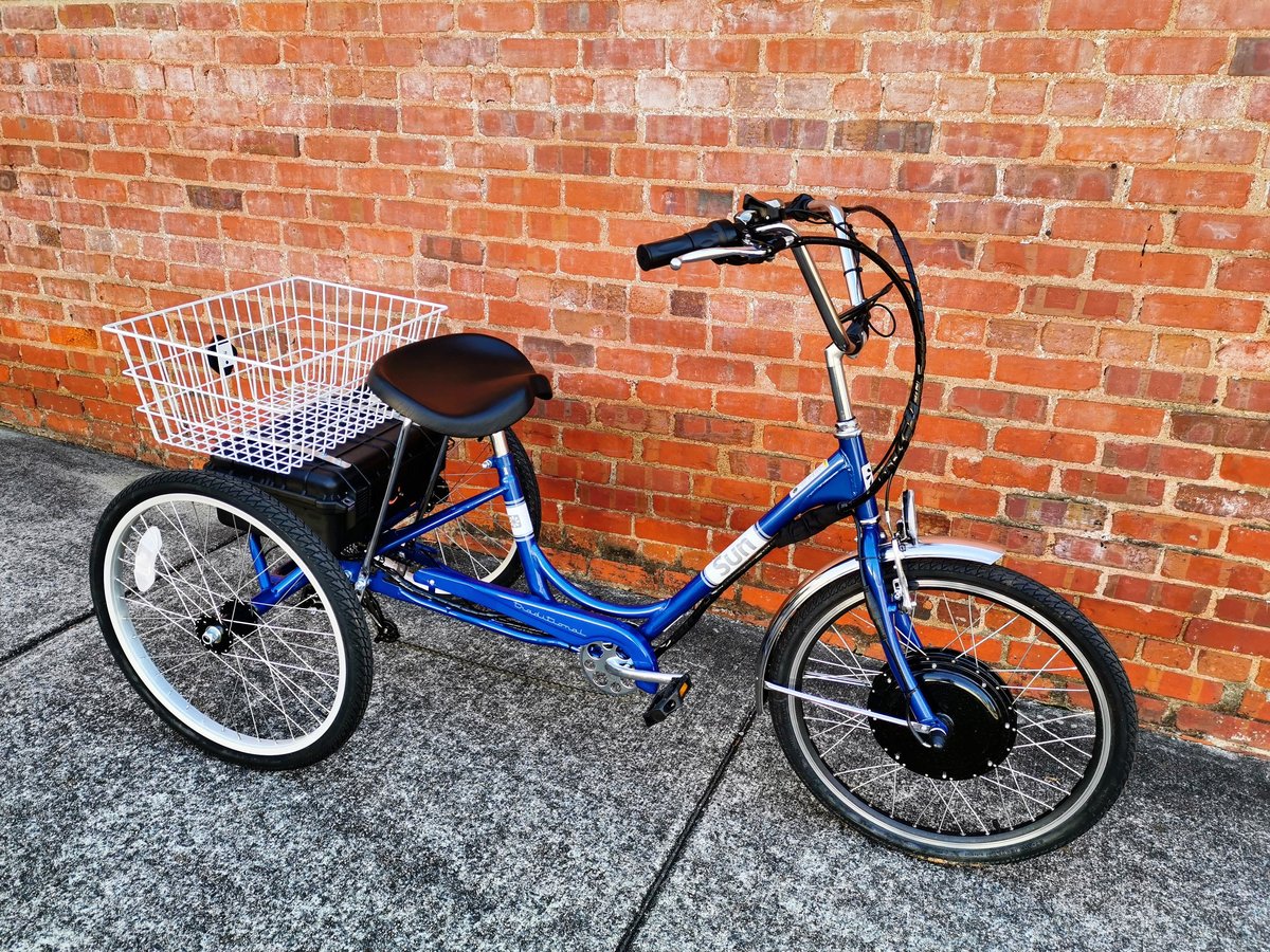 24 in adult tricycle
