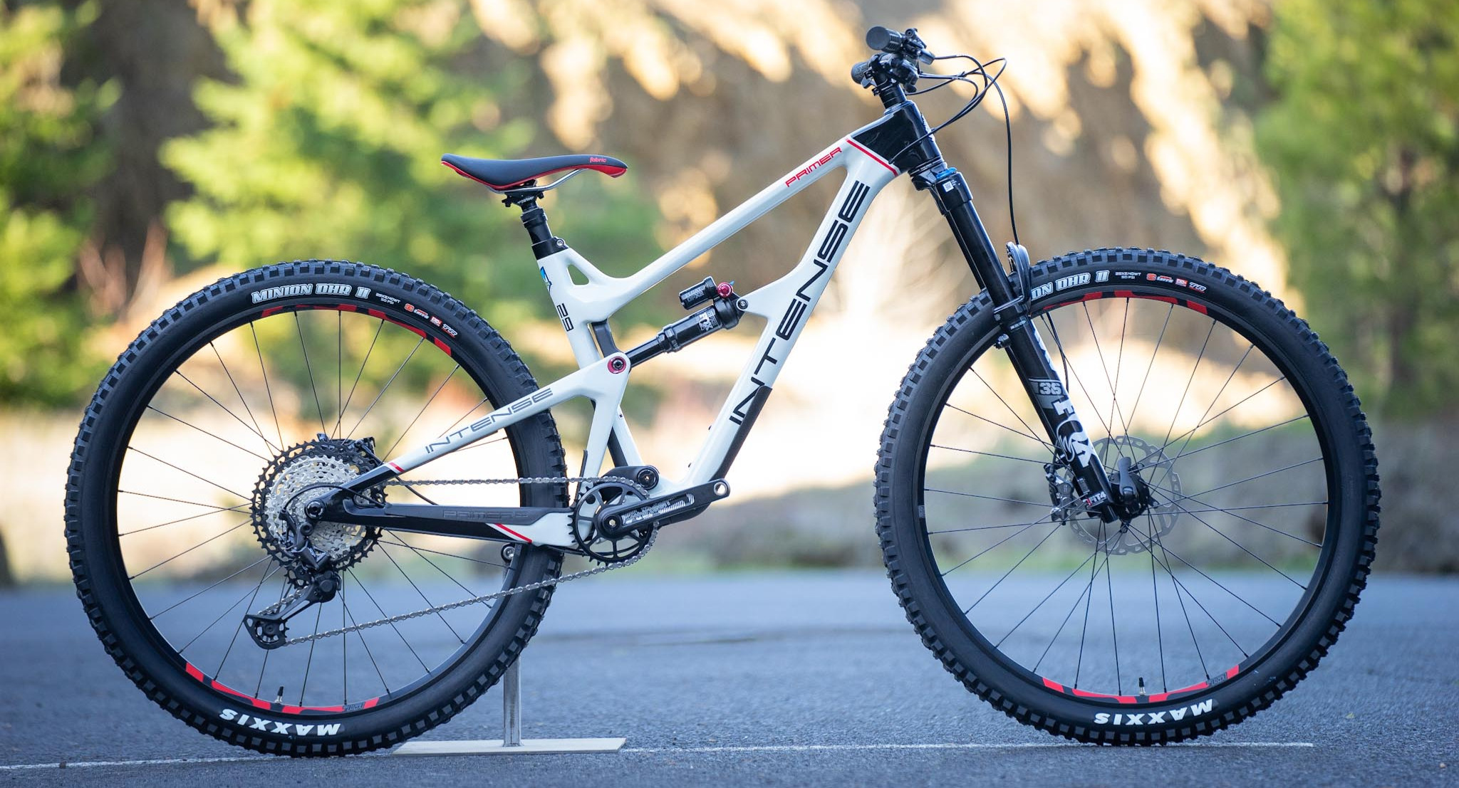 Intense primer mountain online bike