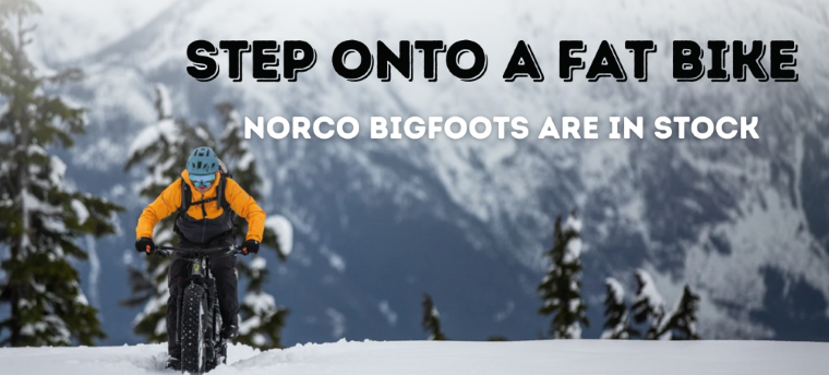 fat bike norco bigfoot