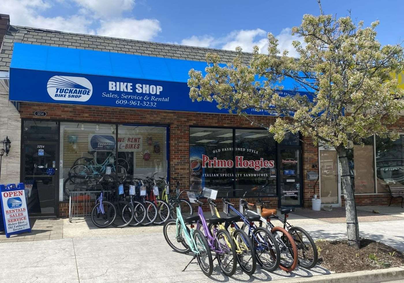 Avalon bike hot sale shop