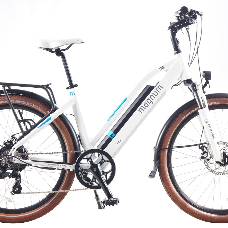 magnum electric bike dealers