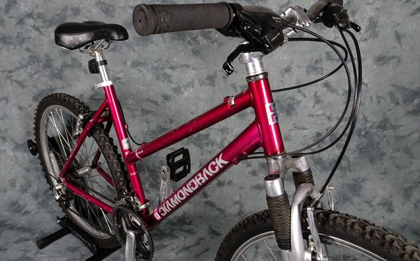 Diamondback peak mountain bike online