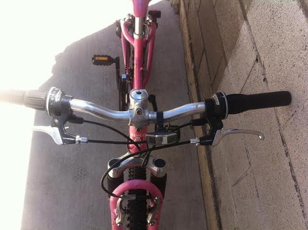 Trek mt 220 online girl pink