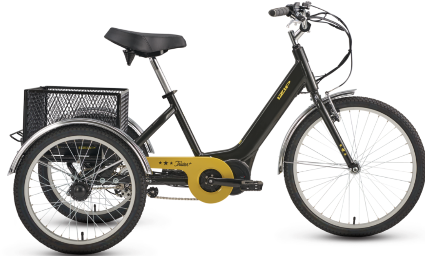 Raleigh electric trikes sale