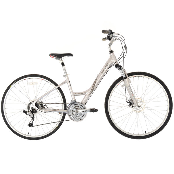 schwinn silver bike