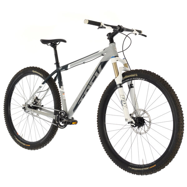 trek rig single speed 29er