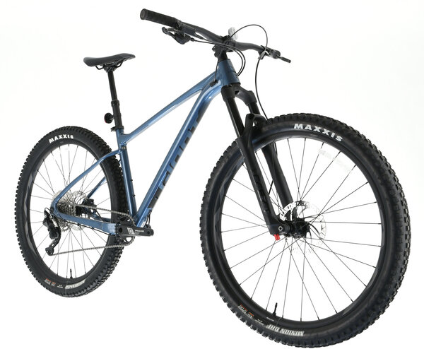 Giant hardtail online 2021