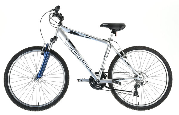 Schwinn sidewinder 7 online speed