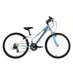 Schwinn hotsell mesa 24