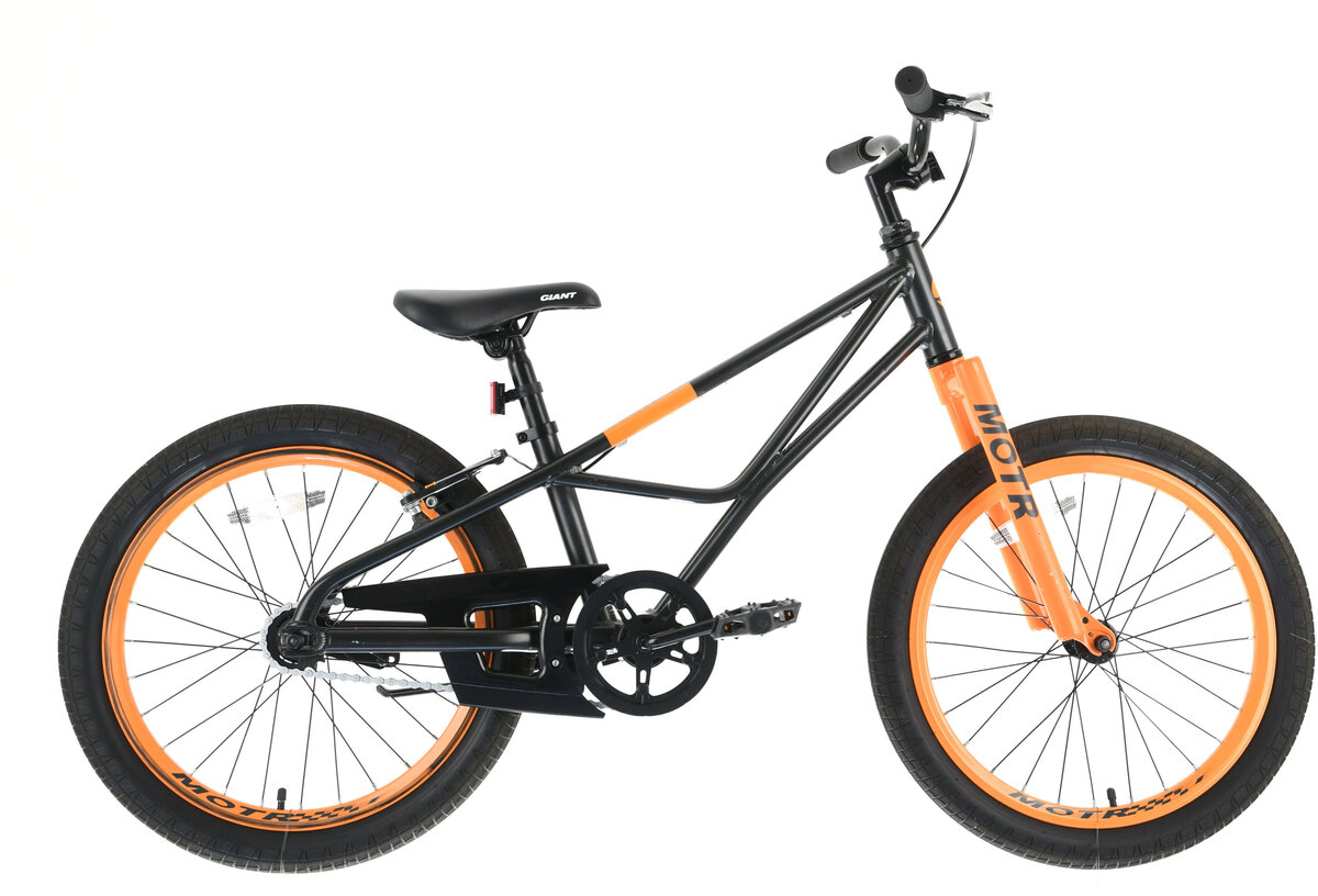 Giant 20 cheap inch mountain bike