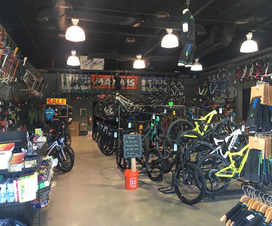 Outspoken bike best sale shop