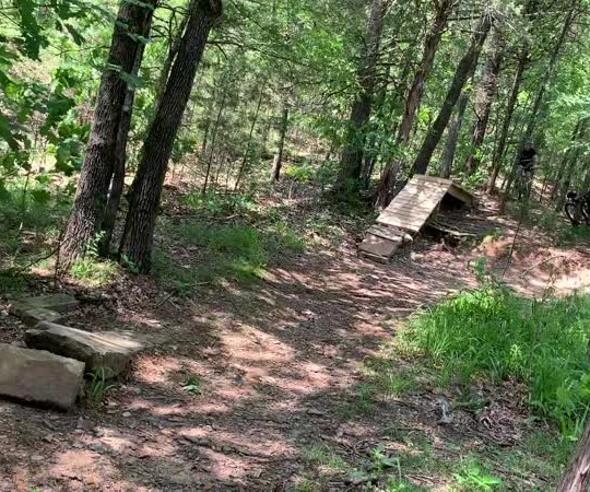 Local discount mtb trails