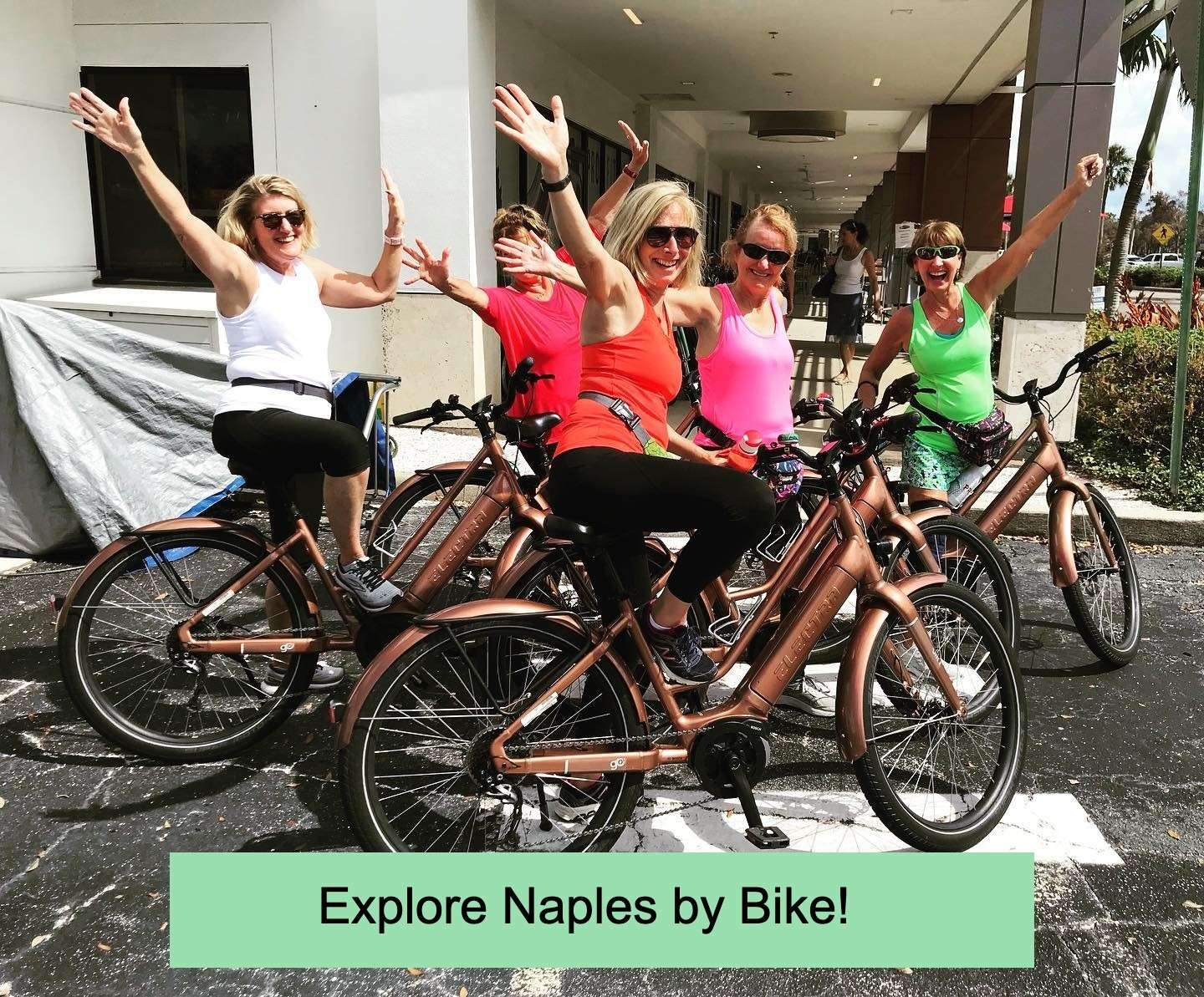 Bike Rentals at Naples Cyclery Naples Cyclery Naples Florida Bicycle Rentals and Sales