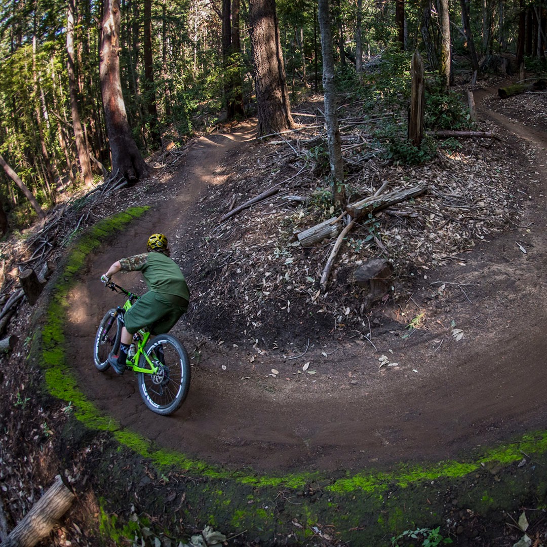 Demo Bikes www.trailheadcyclery