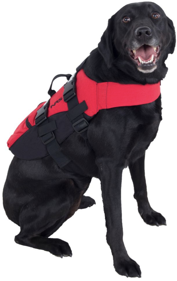 Waterproof Winter Dog Cold Weather Gear For Medium To Large Breeds French  Bulldog, Labrador, German Shepherd Vest From Jin10, $9.96 | DHgate.Com