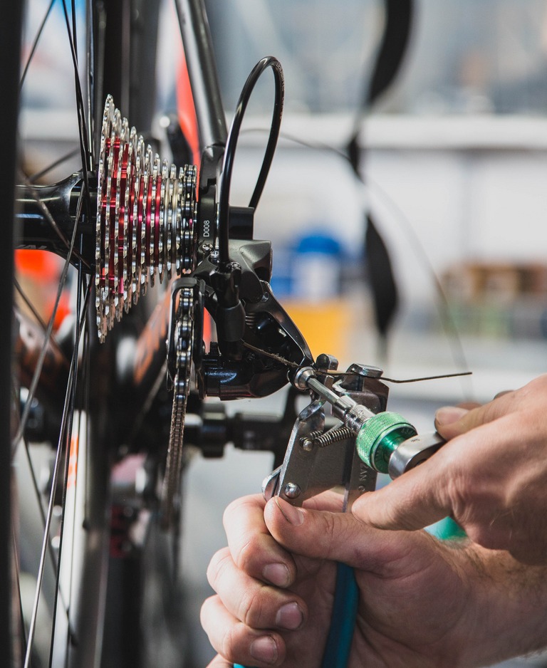 trek bike service